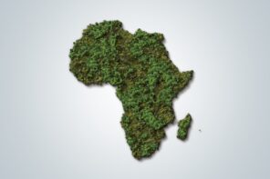 3d,Green,Map,Of,Africa,On,White,Isolated,Background